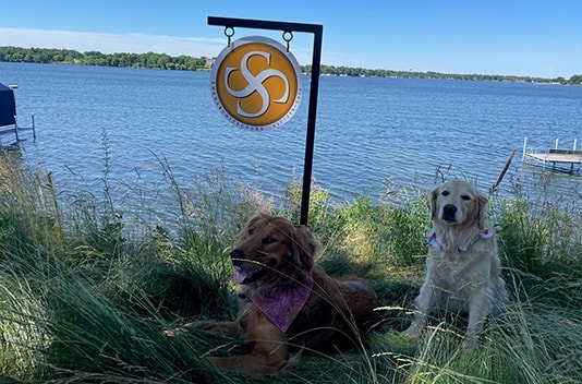 dogs at the lake